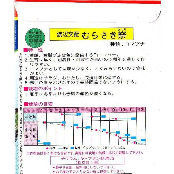 赤紫小松菜（むらさき祭） : みづほ商店ヤフーショップ - 通販 - Yahoo