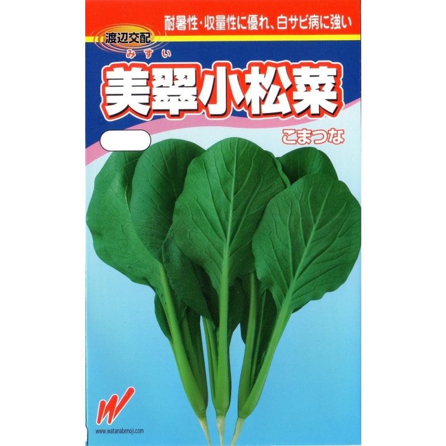 ちぢみこまつ菜 - 株式会社渡辺採種場｜良いタネは明日への希望