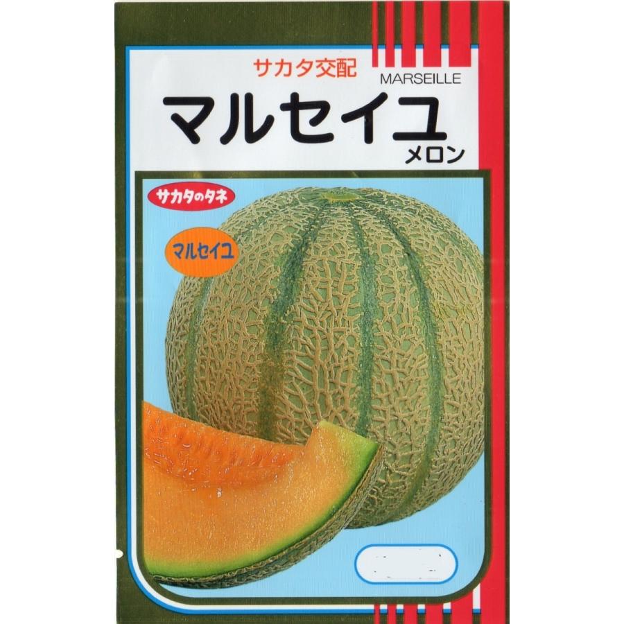 メロン 千葉県産(JAちばみどり) タカミメロン(お届け期間：6/17〜7/30