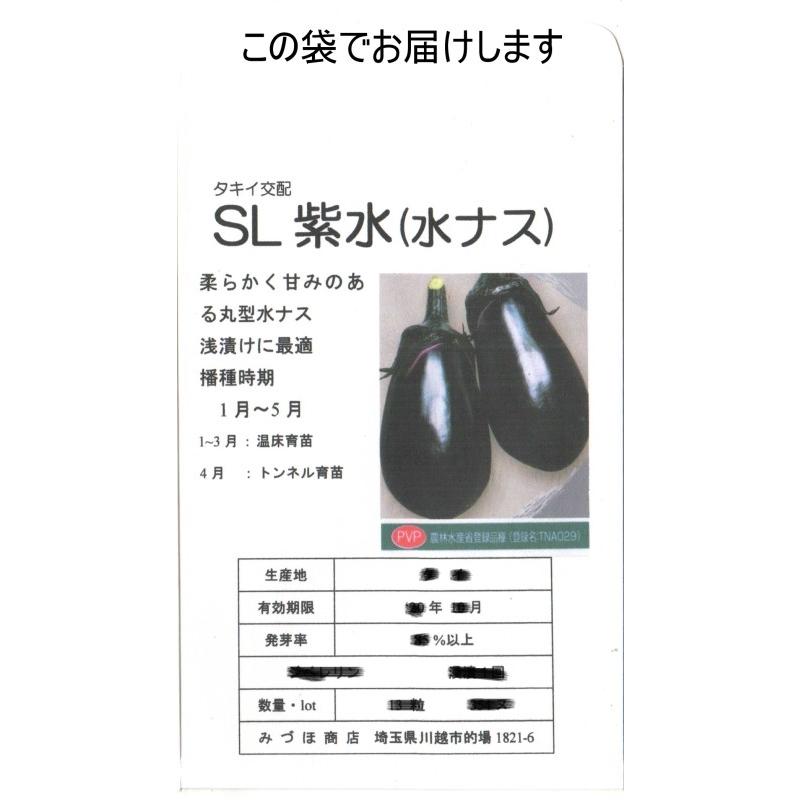 綺麗な紫水 なす 最高の花の画像