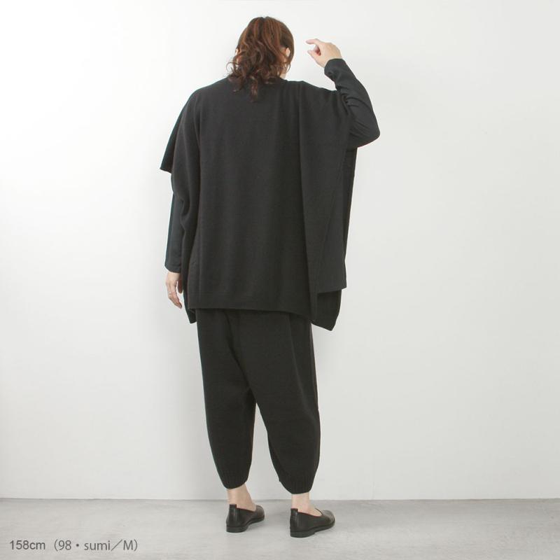 evam eva（エヴァムエヴァ） wool pants E253K078 : MIDLAND SHIP