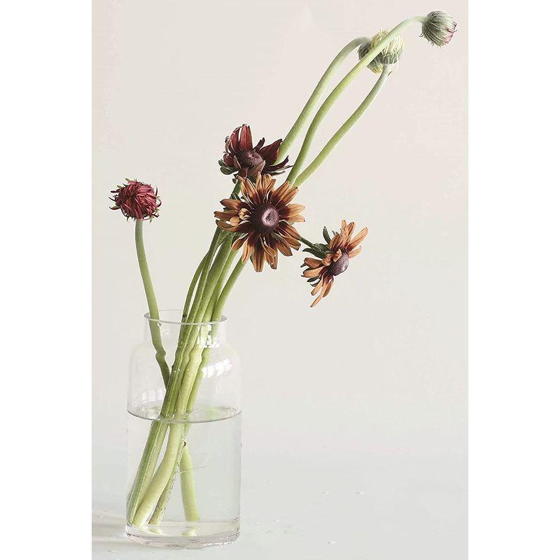 高額売筋 ガラスおしゃれ フラワーベース 花瓶 Foyer 高さ 小さい Cm 7 5 幅 Cm 18 花瓶 花器 Www Sustentec Com Br