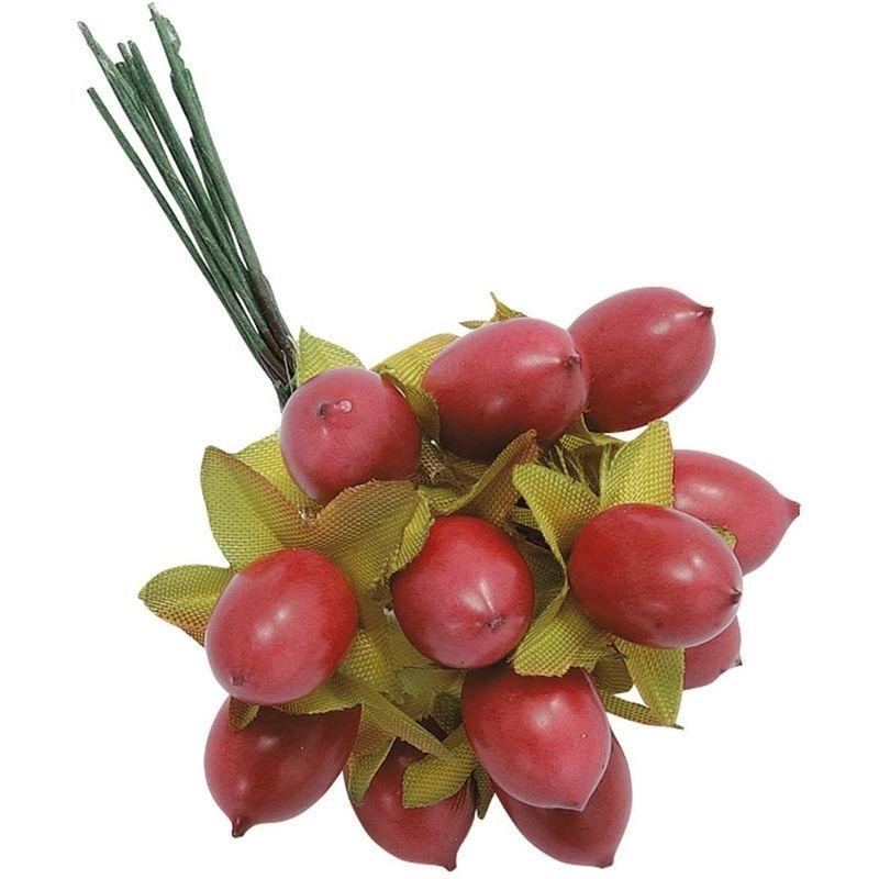 大地農園 フラワー資材 ヒペリカム ワイン 24本入り 高評価なギフト Do 480