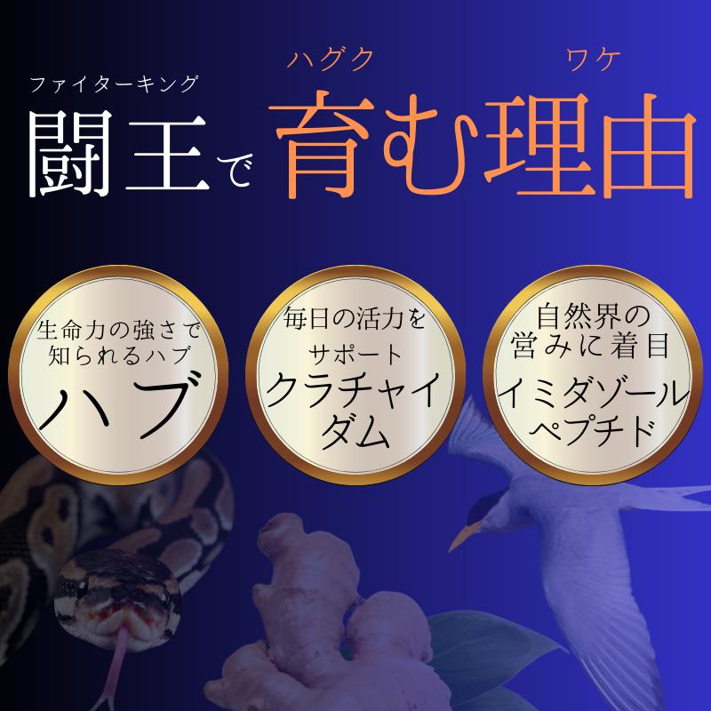 亜鉛 サプリ マカ シトルリン クラチャイダム ハブ 黒ゴマ 山参