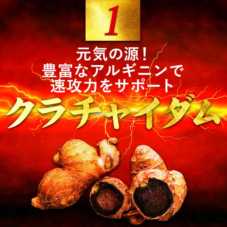 最大84％オフ！ 闘王 ファイターキング lepiceriedeshalles.coop