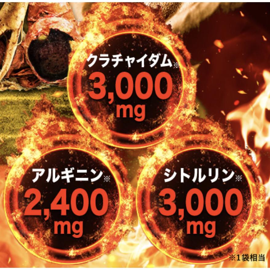 亜鉛 サプリ マカ シトルリン クラチャイダム ハブ 黒ゴマ 山参