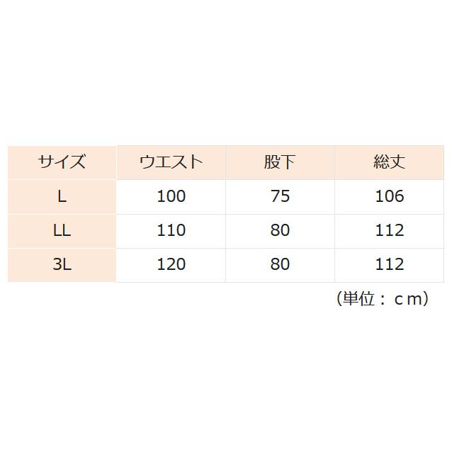 帝健 炉前遮熱作業衣 アルミズボン AWW2 L・LLサイズ : ミドリ安全.com