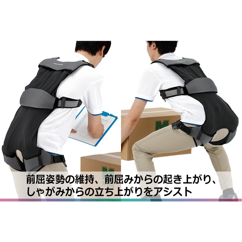 【早い者勝ち！】 ダイヤ工業 健康管理用品 労働軽減アシストスーツ DARWING Hakobelude ダーウィンハコベルデ M〜L 【MYK1200700665】(42900円)