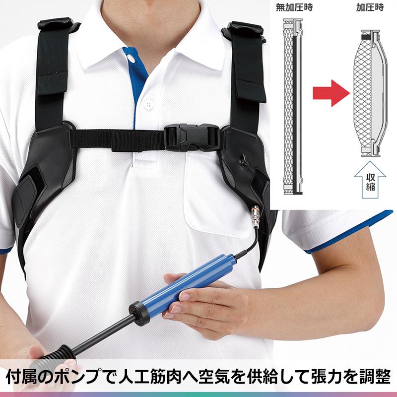 【早い者勝ち！】 ダイヤ工業 健康管理用品 労働軽減アシストスーツ DARWING Hakobelude ダーウィンハコベルデ M〜L 【MYK1200700665】(42900円)