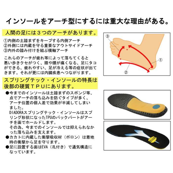 Diadora ディアドラ安全作業靴用 スプリングテックインソール Ss Ll 交換用 中敷き Diadorautility専用 スニーカー ミドリ安全 Com Paypayモール店 通販 Paypayモール