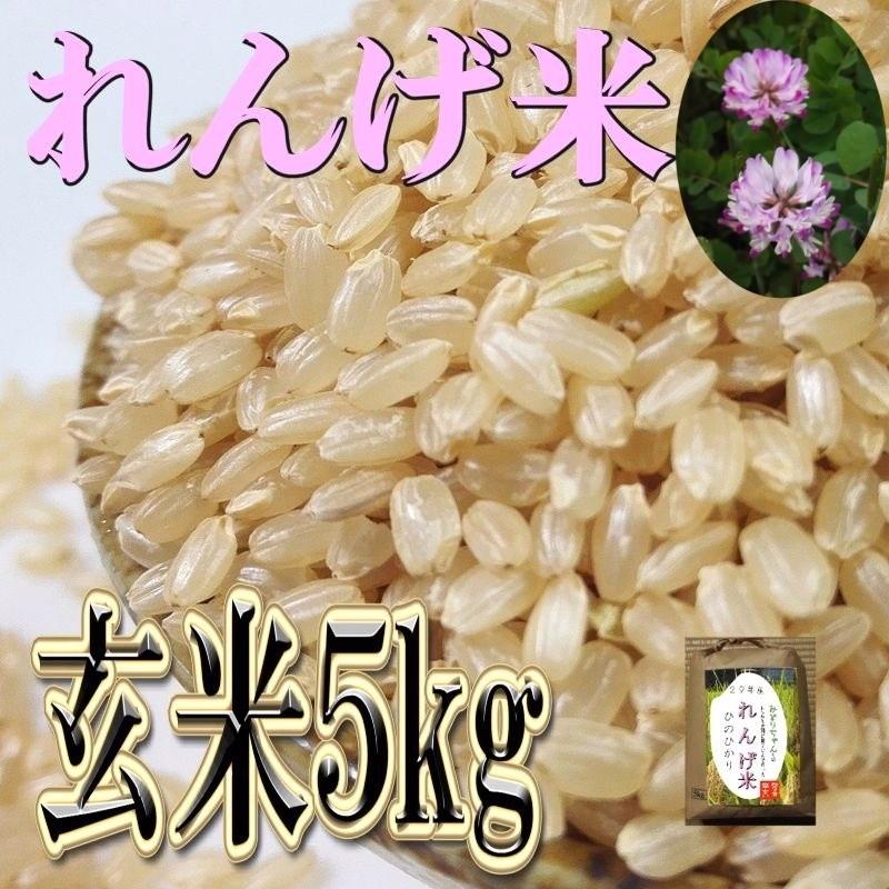 ヒノヒカリ 完売！れんげ 10割有機米 草の薬以外不使用 ひのひかり