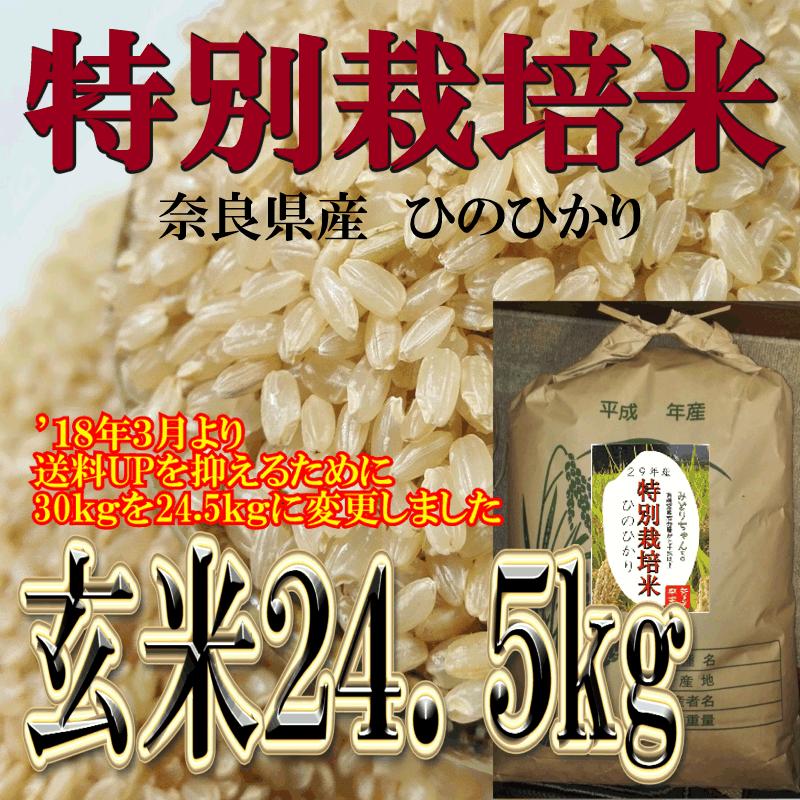 特別栽培 8割有機米 殺菌殺虫剤不使用 玄米 ひのひかり 24.5kg 奈良県産 令和3年産 ヒノヒカリ みどりちゃんちのお米
