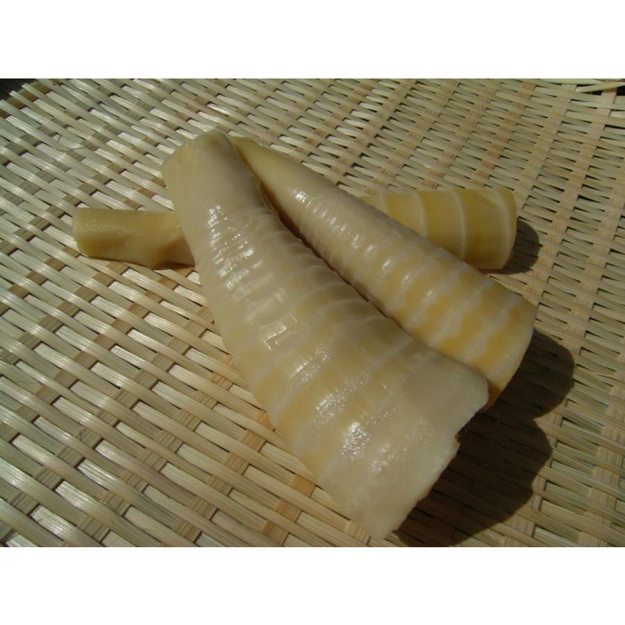 農家直送 淡竹 たけのこ 筍 はちく（ハチク）約2キロ : ナチュラル