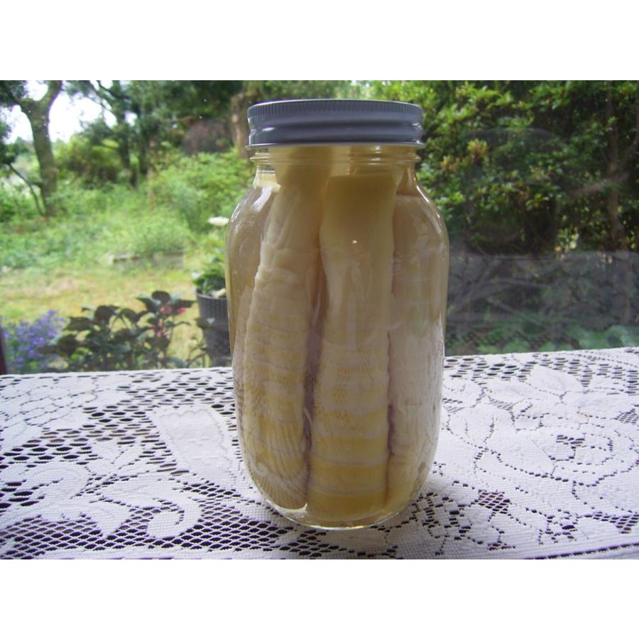 農家直送 淡竹 たけのこ 筍 はちく（ハチク）約2キロ : ナチュラル