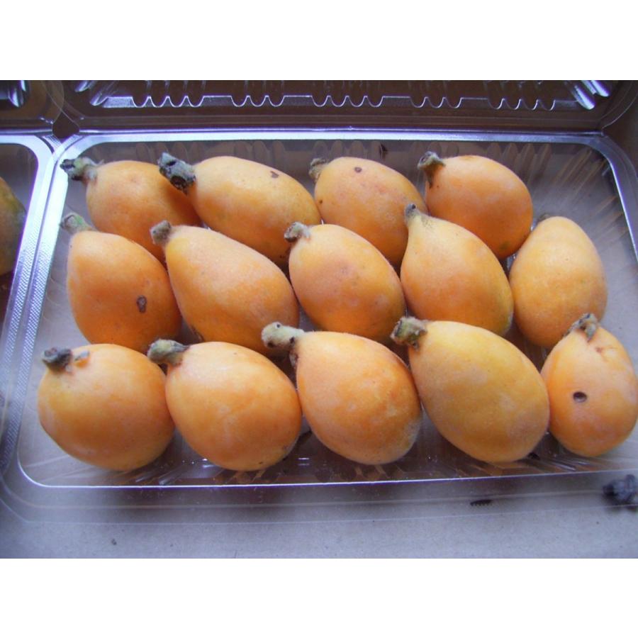 花梨 かりん 1本 450 40ミリ角 No 3 の角棒 数量限定 の角棒