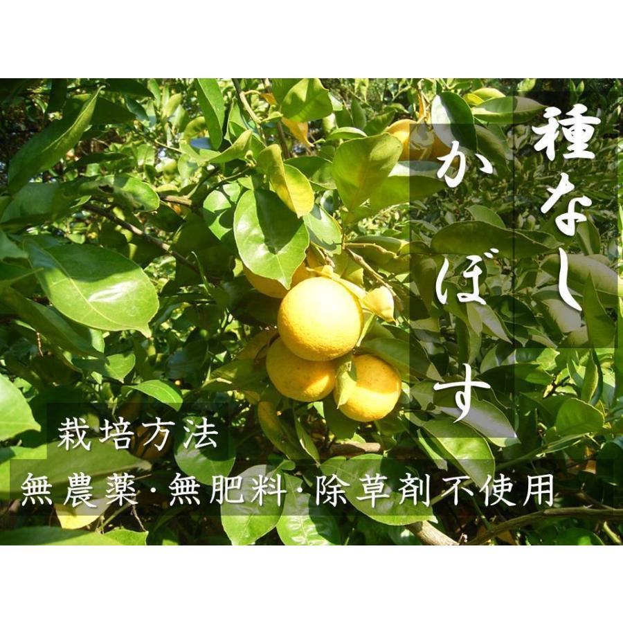 種無しカボス 大分県産 農薬不使用 種無しかぼす 2キロ