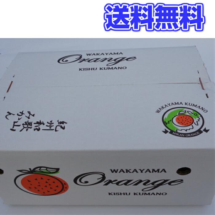 はっさく 10kg  L / 2L(大玉 中玉)【秀品】 送料無料香りがよく甘酸が調和しプリプリとした 木熟 八朔 みかん紀南 紀州 和歌山 木熟 木成り もぎたて 完熟 濃…｜midorikajitu｜03