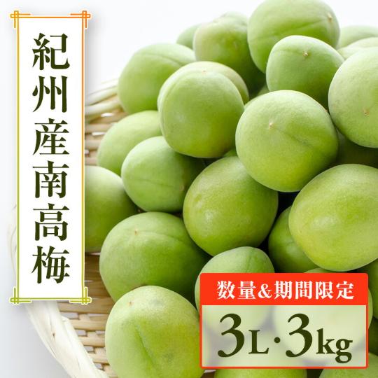 南高梅 (青梅) 3L サイズ 3kg 大粒 厳選【秀品】 送料無料 梅干し