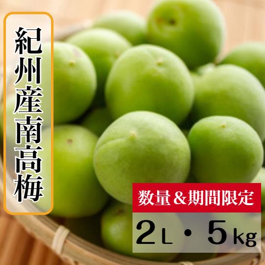 南高梅 (青梅) 2L サイズ 5kg 中粒 【秀品】 送料無料梅干し 梅干し用