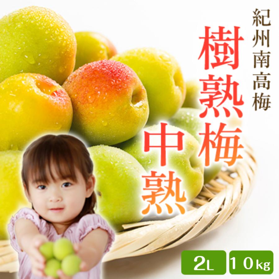 和歌山県産 紀州南高梅 2Lサイズ 10kg