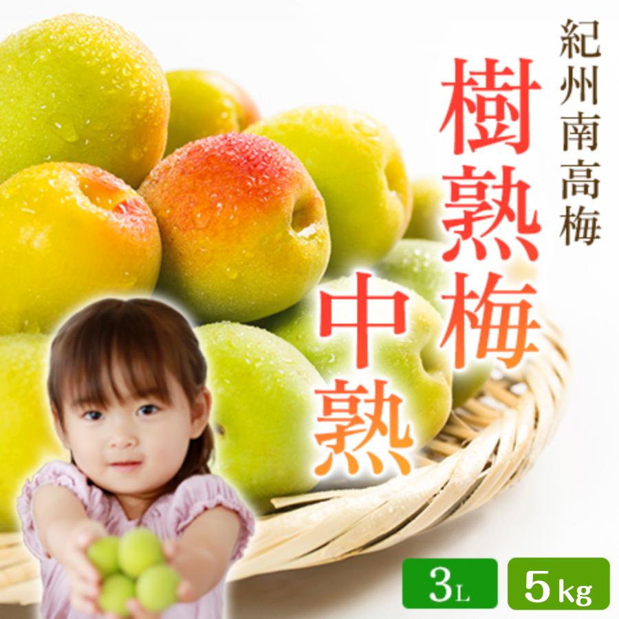 和歌山県産 紀州南高梅【樹熟梅・中熟】A級品 3L サイズ 5kg 送料無料