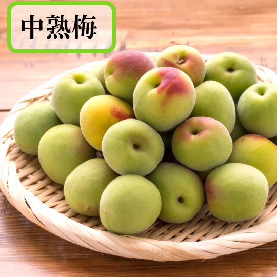 食品 和歌山県産 紀州南高梅 2L3L混合 5キロ