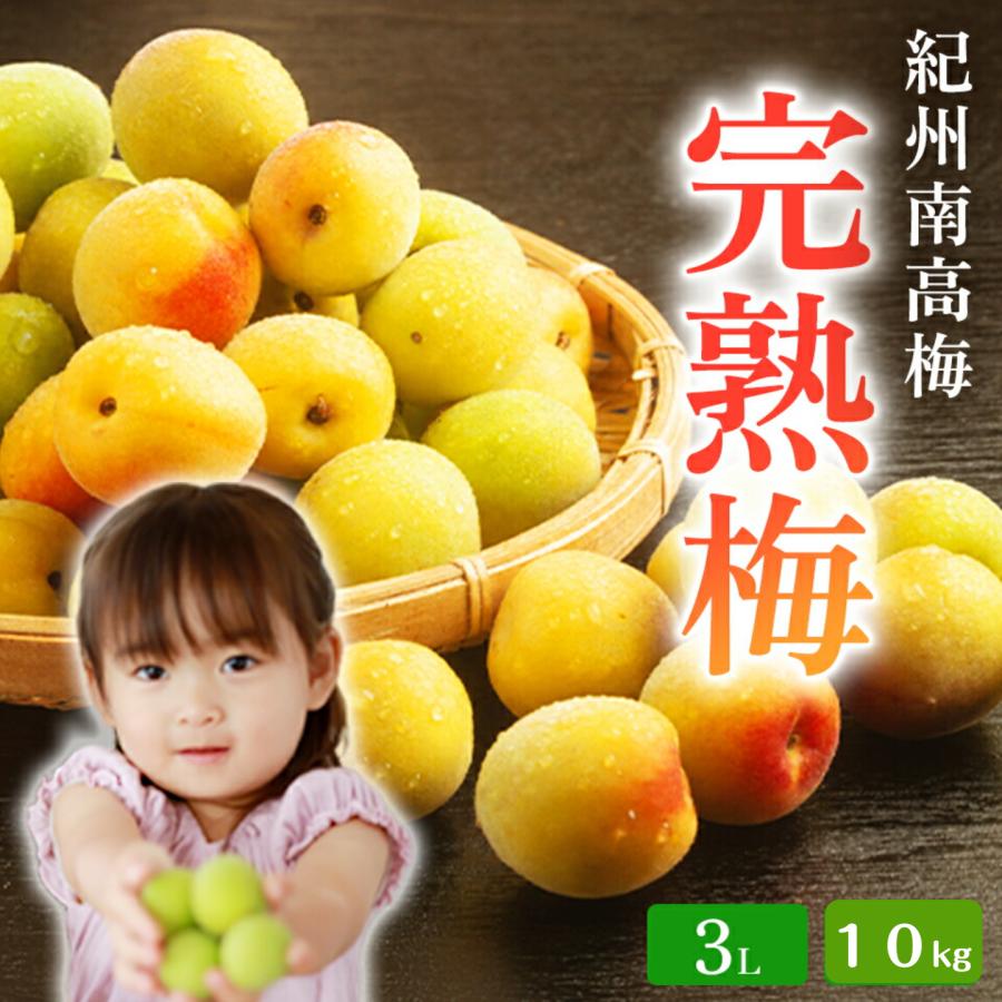 南高梅 完熟 A級品 3L サイズ 10kg 大粒 送料無料本場 和歌山産 紀州産 