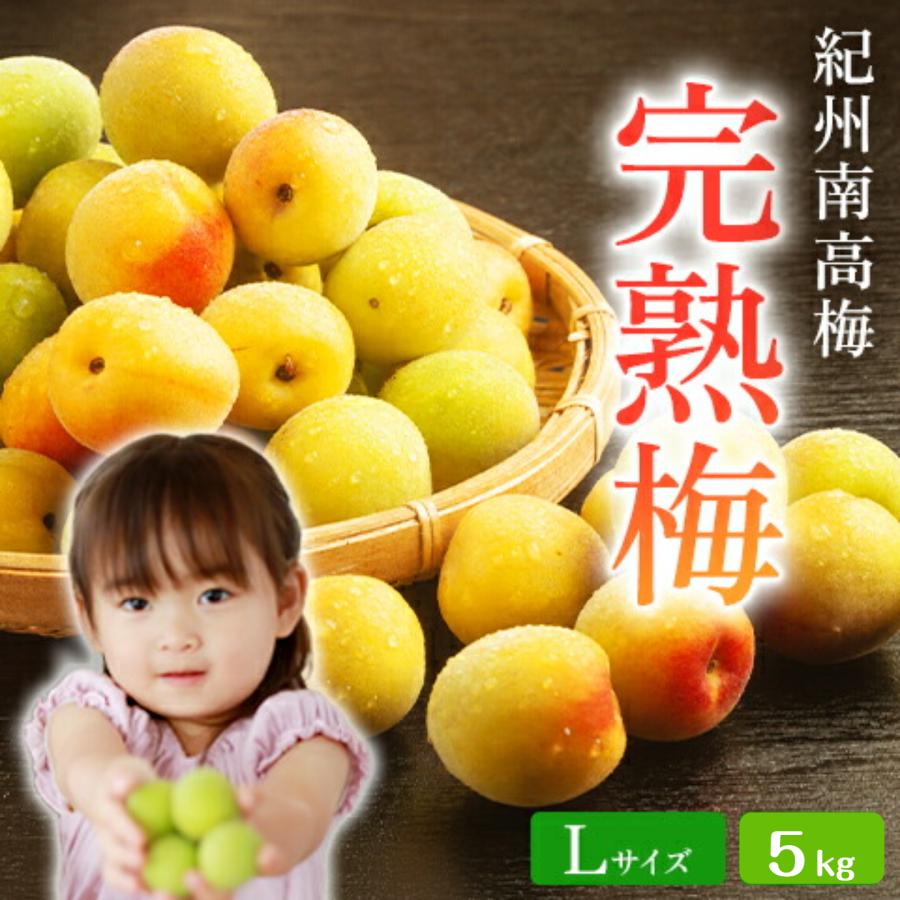 南高梅 (完熟梅 ) A級品 Lサイズ 5kg 梅干し 梅干し用 梅酒用 梅ジャム