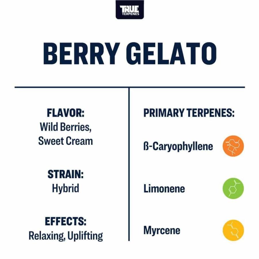 TT Berry Gelato Profile (100% All Natural) 2ml True Terpenes (正規代理店)｜midorilab｜02