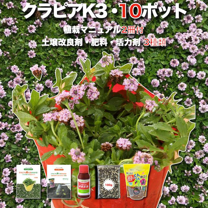 レビュー特典あり クラピア K3 新品種 ピンク 10株 すくすく土壌改良セット 植栽マニュアル付き 苗10ポット 肥料4種 K7