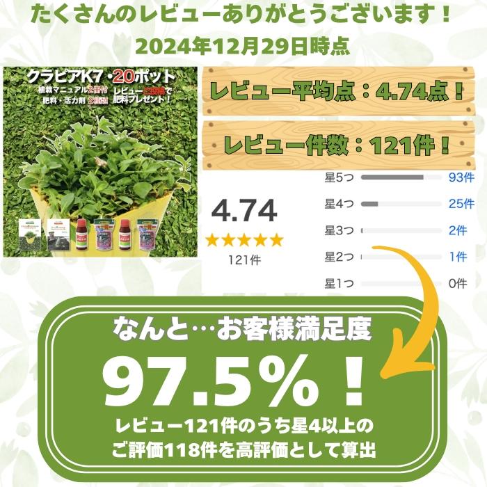 クラピア K7 9cmポット苗 20鉢セット 肥料メネデール付 白色品種 イワダレソウ改良種 グランドカバー |  | 01