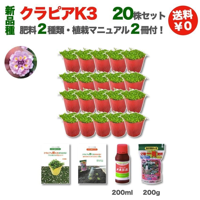 クラピア K3 20株 ピンク品種  植栽マニュアル付き 苗20ポット 肥料2種 グランドカバー 多年草 下草 ピンクの花 ほふく性 イワダレソウ改良種 庭 |  | 02