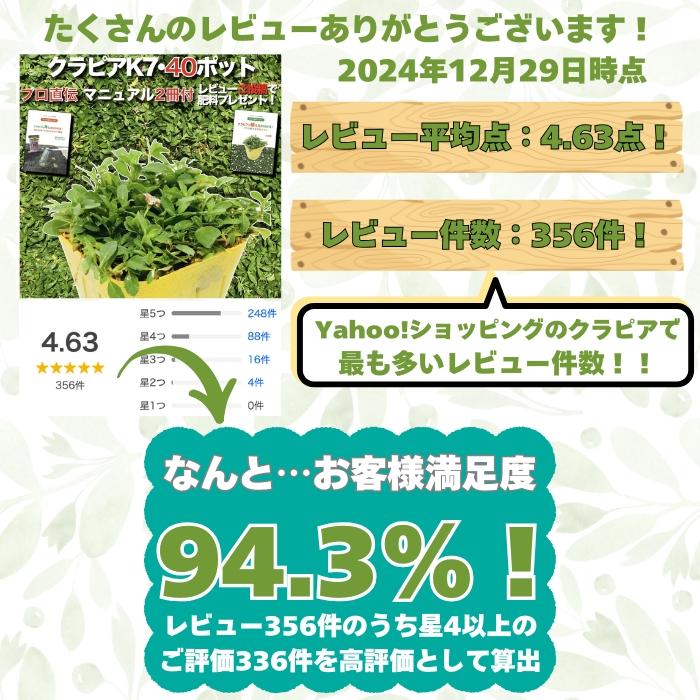 クラピア K7 9cmポット苗 40株セット 植栽マニュアル付 白色品種 イワダレソウ改良種 グランドカバー |  | 01