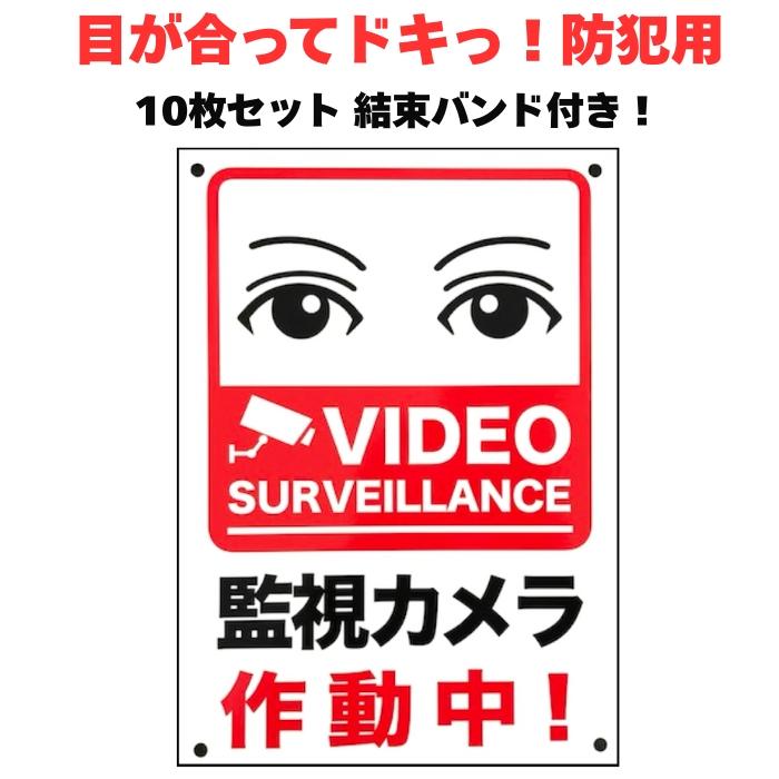 旧裏 ポケモンカード 図鑑コンプリート 151種 カントー地方 初代
