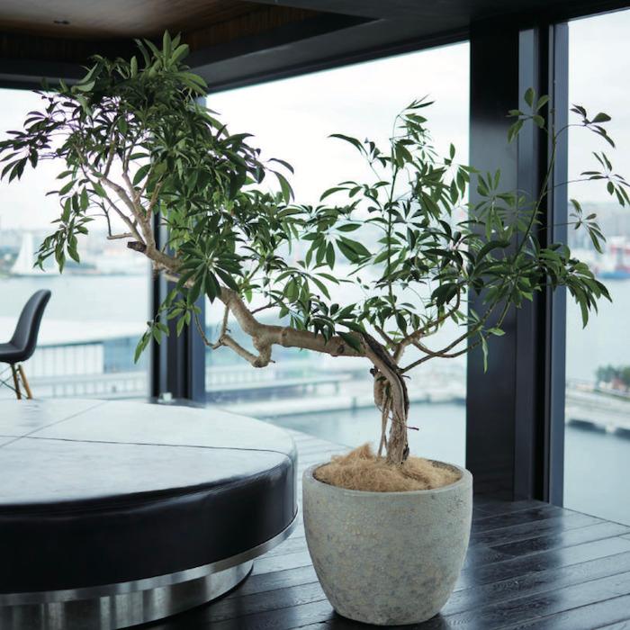 植木鉢 おしゃれ 大型 陶器 釉薬 丸 ラウンド KONTON コントン アビス ソニア ミドル 底穴あり 観葉植物 多肉植物 約16号 約12号 約9号 約6号 クリーム 灰 | KONTON | 04