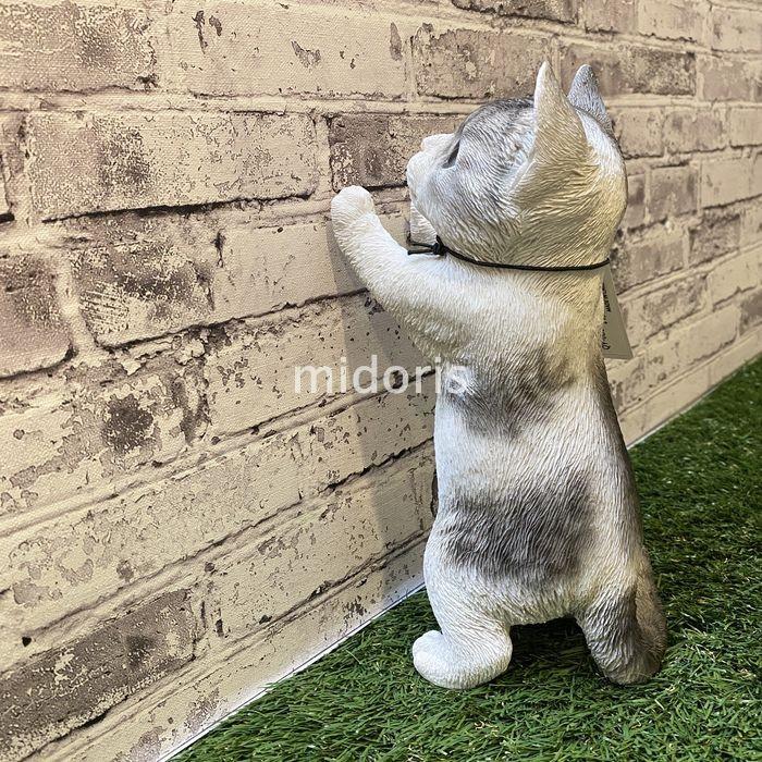ベニーズキャット 窓の外を眺めてます サバ白 子 猫 置物 可愛い リアル アニマルオブジェ インテリア かわいいネコ 動物 子猫 仔猫 ガーデン 玄関先 庭 雑貨 Bennyscat Qy 81 ミドリスークラピアと雑草対策ー 通販 Yahoo ショッピング