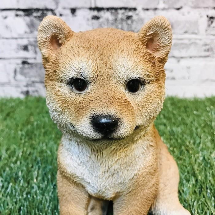 柴犬 子犬のオブジェ 猫 置物 可愛い リアル アニマルオブジェ インテリア かわいいネコ 動物 子猫 仔猫 ガーデンオーナメント 玄関先 庭 雑貨 豆柴 Bennyscat Qy39 ミドリスークラピアと雑草対策ー 通販 Yahoo ショッピング