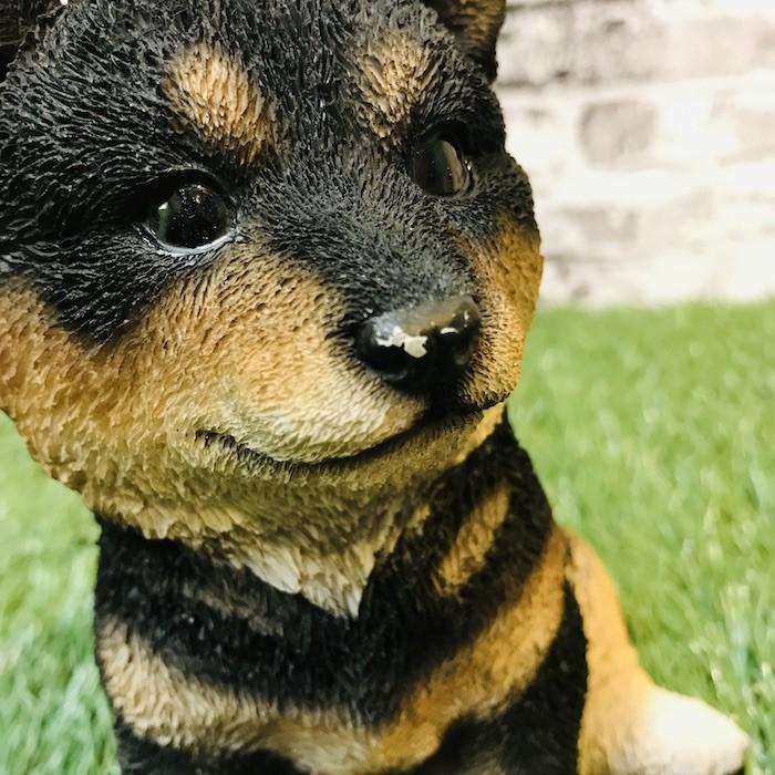 柴犬（黒）子犬のオブジェ 置物 可愛い リアル  インテリア かわいいネコ ガーデンオーナメント 玄関先 庭 雑貨 豆柴 |  | 03