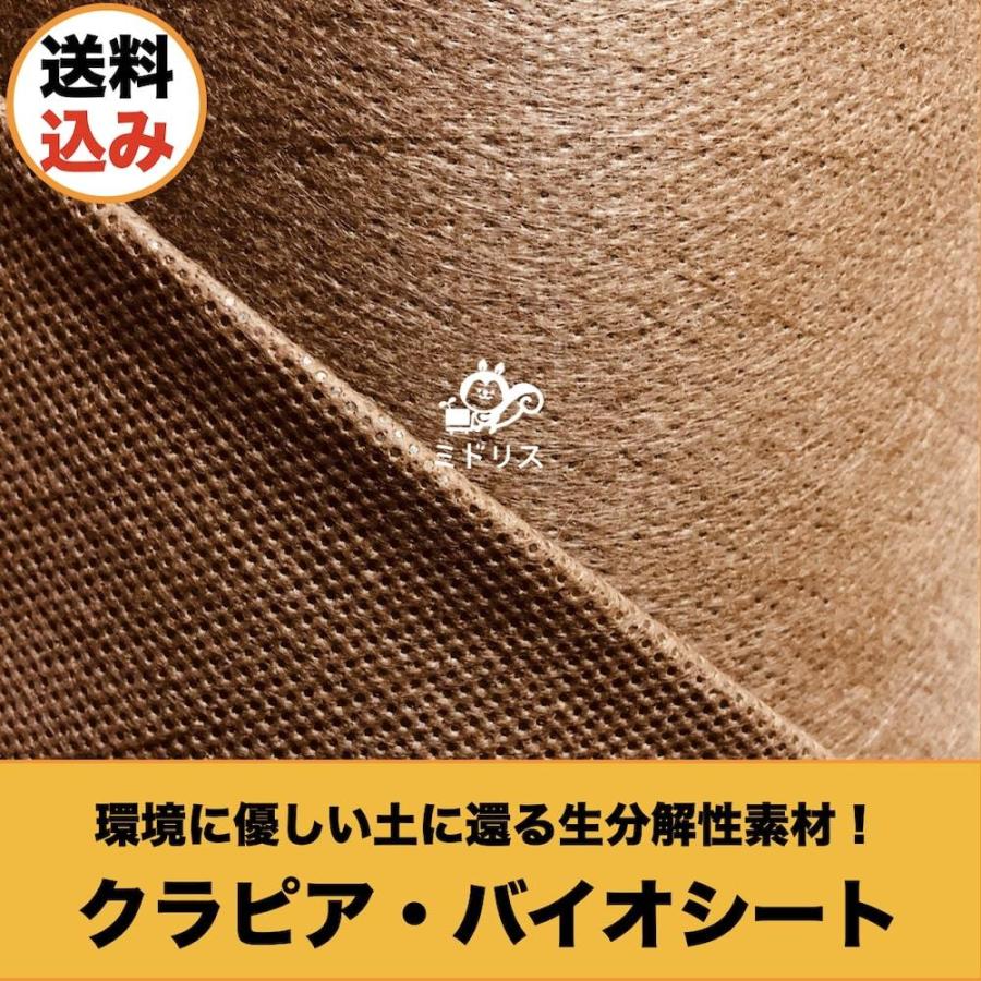 12平米分セット バイオシート クラピア植栽用1m×12m（12m2）+ サブピン（50本） 生分解性素材 防草シート クラピア K7 K5 K3 グランドカバープランツ |  | 04