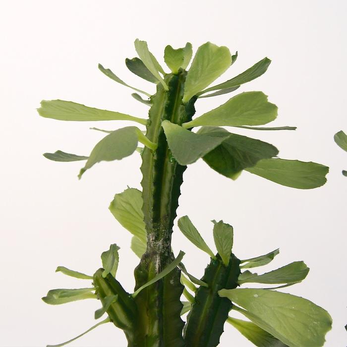 観葉植物 造花 ユーフォルビア 中型 全高112cm フェイクグリーン 人工