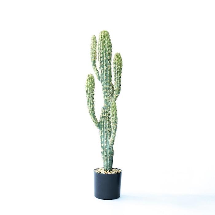 観葉植物 造花 柱サボテン 小型 全高71cm フェイクグリーン 人工観葉植物 本物そっくり おしゃれ インテリア 室内 オフィス 卓上 ミニ |  | 02