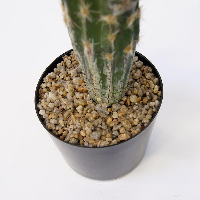 観葉植物 造花 柱サボテン 小型 全高71cm フェイクグリーン 人工観葉植物 本物そっくり おしゃれ インテリア 室内 オフィス 卓上 ミニ |  | 08