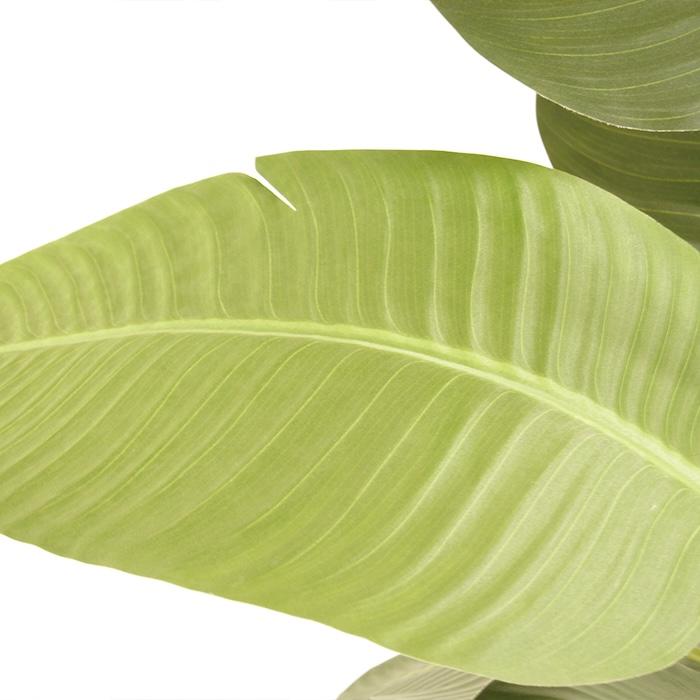 観葉植物 造花 トラベラーズパーム 大型 全高155cm フェイクグリーン 人工観葉植物 本物そっくり おしゃれ インテリア 室内 オフィス |  | 05