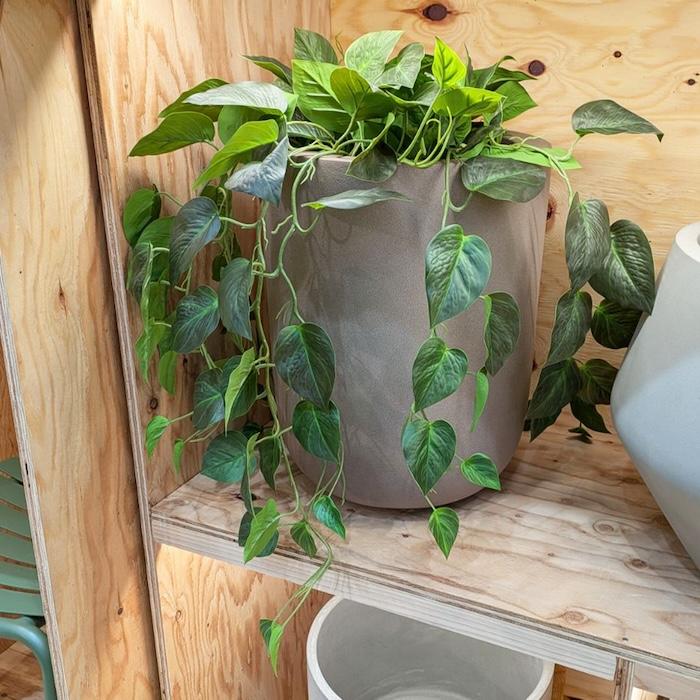 観葉植物 造花 ポトス 80cm 卓上 垂れ下がる フェイクグリーン 人工観葉植物 リアル 本物そっくり おしゃれ 高級 インテリア つる トイレ リビング 玄関 BROWN |  | 03