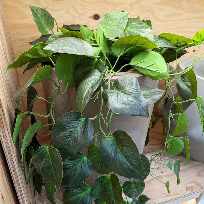 観葉植物 造花 ポトス 80cm 卓上 垂れ下がる フェイクグリーン 人工観葉植物 リアル 本物そっくり おしゃれ 高級 インテリア つる トイレ リビング 玄関 BROWN |  | 04
