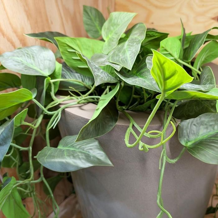 観葉植物 造花 ポトス 80cm 卓上 垂れ下がる フェイクグリーン 人工観葉植物 リアル 本物そっくり おしゃれ 高級 インテリア つる トイレ リビング 玄関 BROWN |  | 05