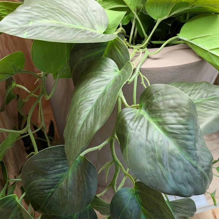 観葉植物 造花 ポトス 80cm 卓上 垂れ下がる フェイクグリーン 人工観葉植物 リアル 本物そっくり おしゃれ 高級 インテリア つる トイレ リビング 玄関 BROWN |  | 06