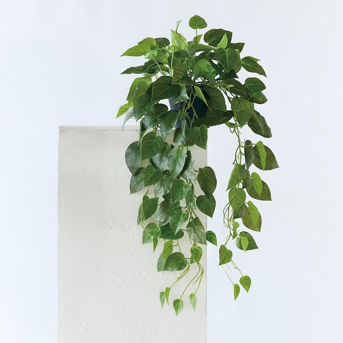 観葉植物 造花 ポトス 80cm 卓上 垂れ下がる フェイクグリーン 人工観葉植物 リアル 本物そっくり おしゃれ 高級 インテリア つる トイレ リビング 玄関 BROWN |  | 10