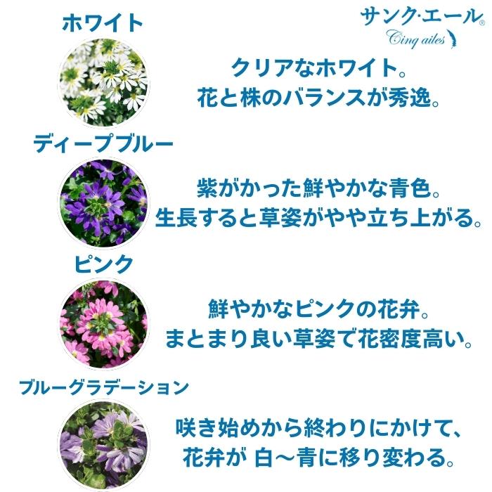 サンク・エール 苗 4色×各1株セット 3号ポット サントリーフラワーズ