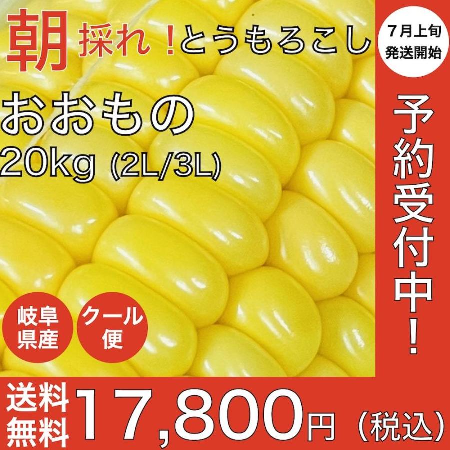 7月上旬発送 朝採れ とうもろこし 20kg 極甘品種おおもの 48本前後（20.5kg以上) 2Lから3Lサイズ トウモロコシ